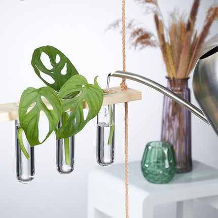 Hanging plant propagation station