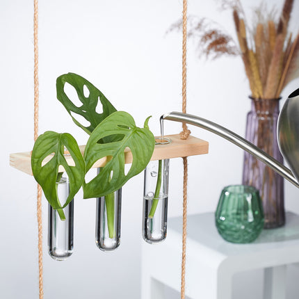 Hanging plant propagation station