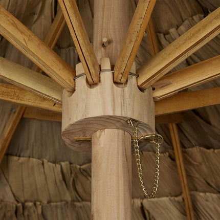 Hawaiian parasol