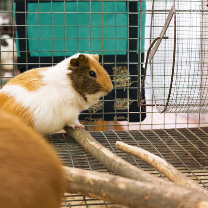 Hay bag for small animals