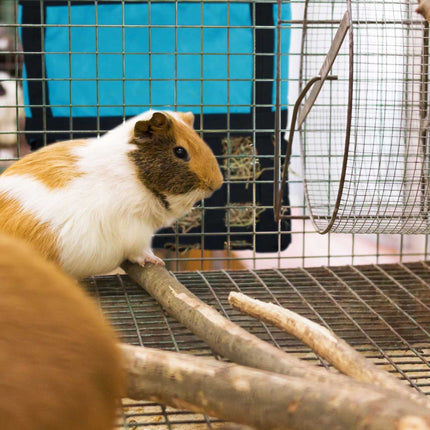Hay bag for small animals