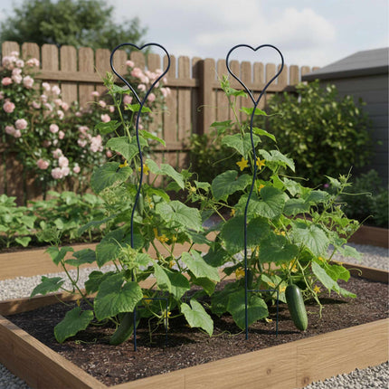 Heart-Shaped Garden Trellis Set for Climbing Plants