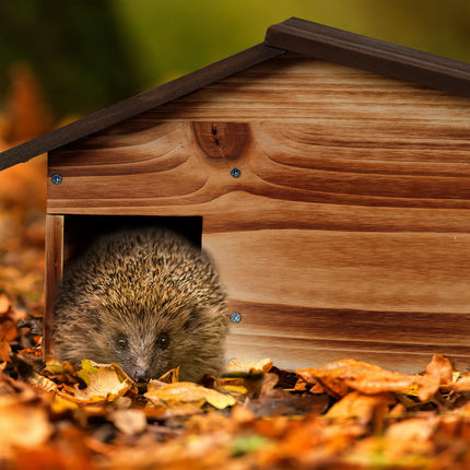 Hedgehog Shelter with Sloping Roof, Pine Wood