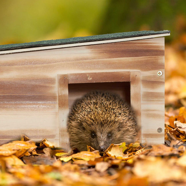 Hedgehog house with floor
