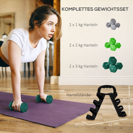 Hex Dumbbell Set with Rack – 1kg, 2kg, 3kg Pairs