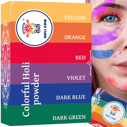 Holi Color Powder - Set of 6x100g