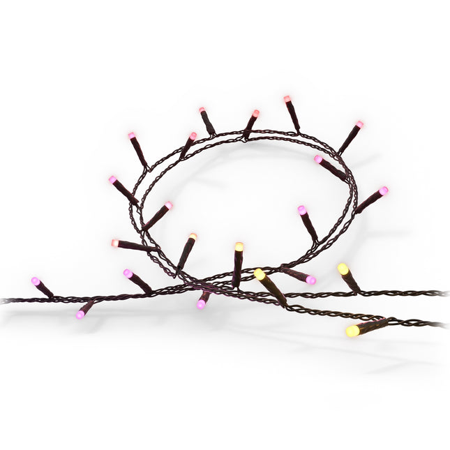 Hue Festavia light loop Indoor/outdoor 250 LED 20m