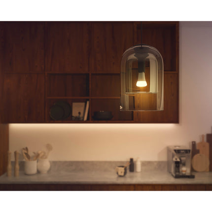 Hue White Ambiance E27 1600lm 1-pack