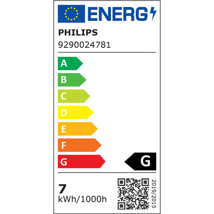 Hue White Ambiance Filament E27 G125 Glob