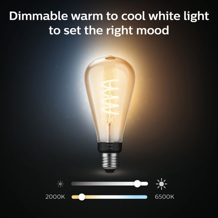 Hue White Ambiance Filament E27 ST72 Edison
