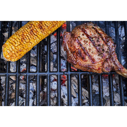 Hybrid Grill Gas2Coal 2.0, 3+1 Burners, Gas or Charcoal