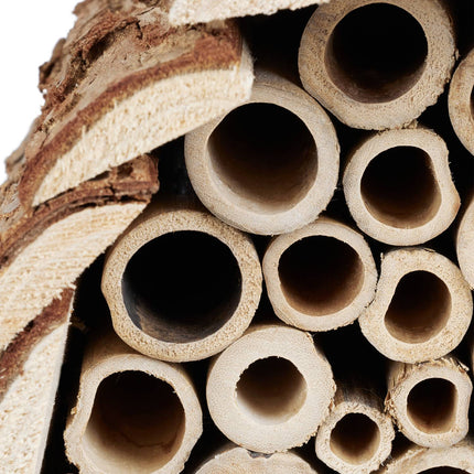 Insect hotel bees