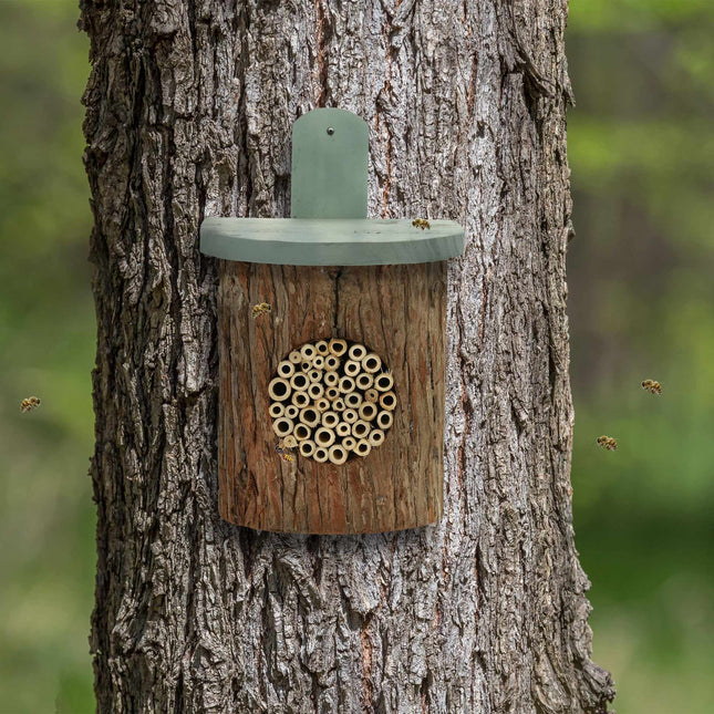 Insect hotel for bees