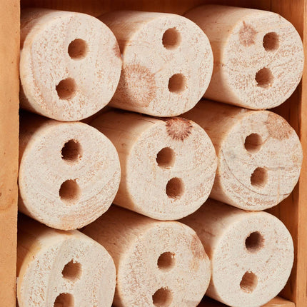 Insect hotel kit