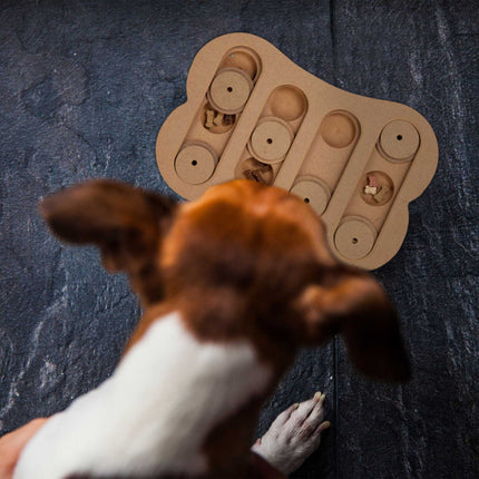 Intelligent toys for dogs
