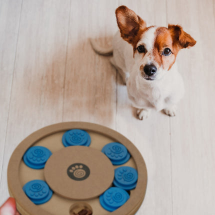 Intelligent toys for dogs