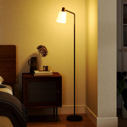 LED Floor Lamp, Adjustable Head, 3 Color Temperatures