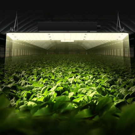 LED Grow Light, 200W Full Spectrum, Dimmable, IP65