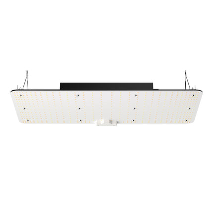 LED Grow Light, 200W Full Spectrum, Dimmable, IP65