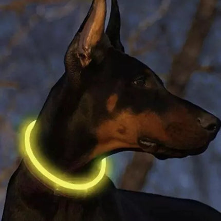 LED light-adjustable collar Purlov 21631