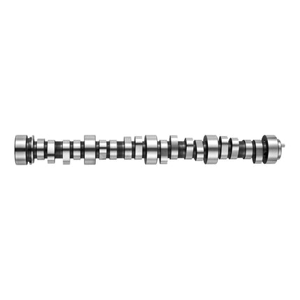 LS Truck Camshaft Kit, Cast Iron, Springs & Seals