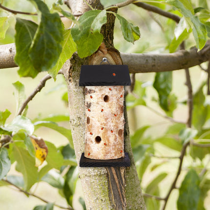 Ladybug house to hang