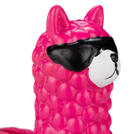 Lame piggy bank with sunglasses