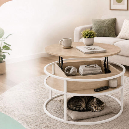 Lift-Top Coffee Table with Storage, White-Beige