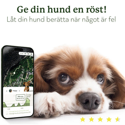 Lildog 2 GPS Tracker for Dogs