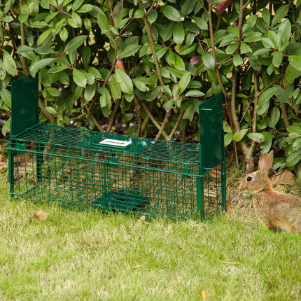 Live Trap - Double door Steel wire trap, 60x18x20 cm