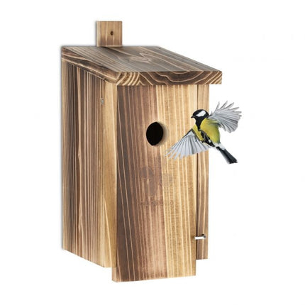 Live in wood for tits
