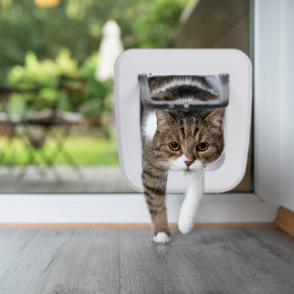 Lockable hatch for pets