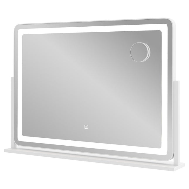 Makeup mirror with lighting, large cosmetic mirror with 10X magnification, white