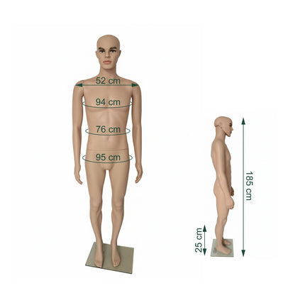 Male Mannequin with Stand – Movable Arms, Glass Base
