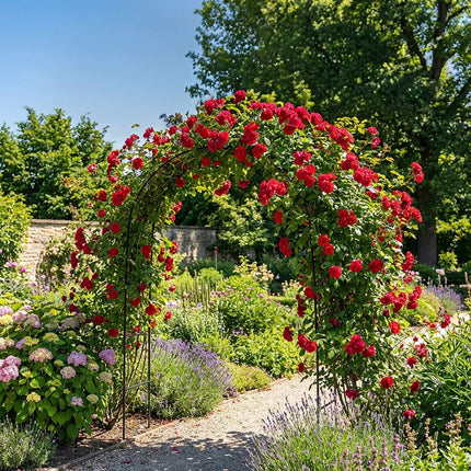Metal Garden Arch with Stand for Climbing Plants