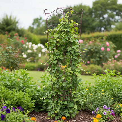 Metal Garden Trellis for Climbing Plants, Curved Design