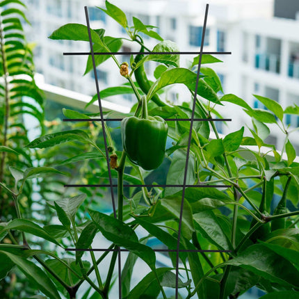 Metal Plant Trellis Set for Climbing Flowers
