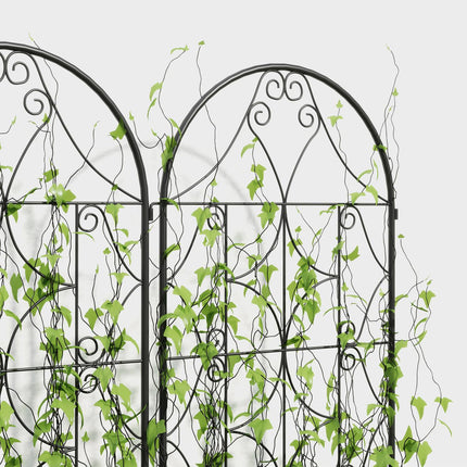 Black stainless metal trellis set for climbing plants, 50x150 cm