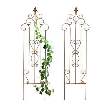 Metal Trellis for Climbing Plants, Vintage Design