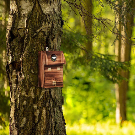 Nest box with cleaning hatch