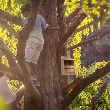 Nest for nesting birds in semi-cavities