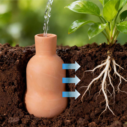Ollas Irrigation Set, 500 ml Clay Water Reservoir, 3-Pack