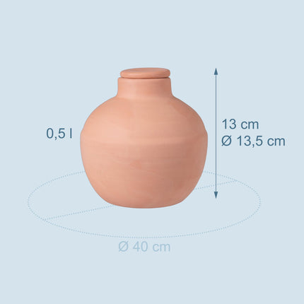 Ollas Irrigation Set, 800 ml, Clay Water Reservoirs