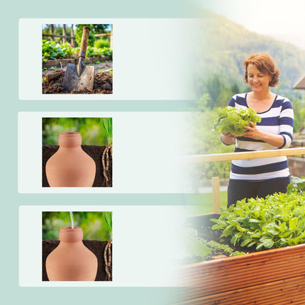 Ollas for irrigation 550 ml 3-pack