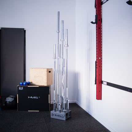 Olympic Bar Rack, Commercial Grade, Steel