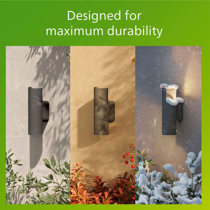 Outdoor Wall Light, Dual Up/Down LED, Anthracite