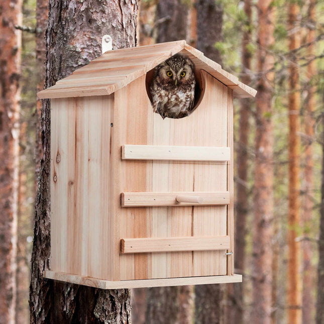 Owls Nest Box Wood