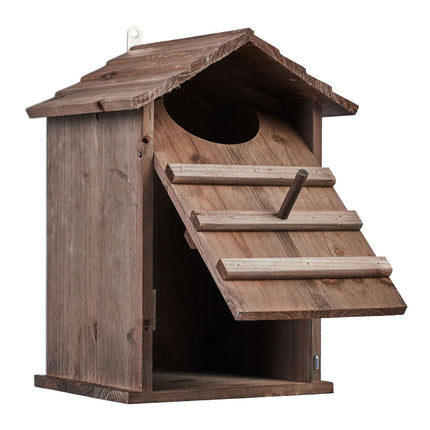 Owls Nest Box Wood