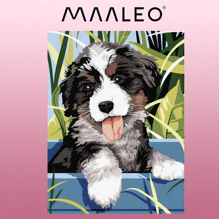 Painting by numbers 40x30cm - Maaleo dog 22780