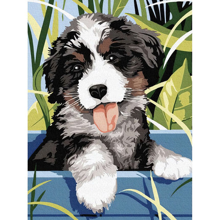 Painting by numbers 40x30cm - Maaleo dog 22780